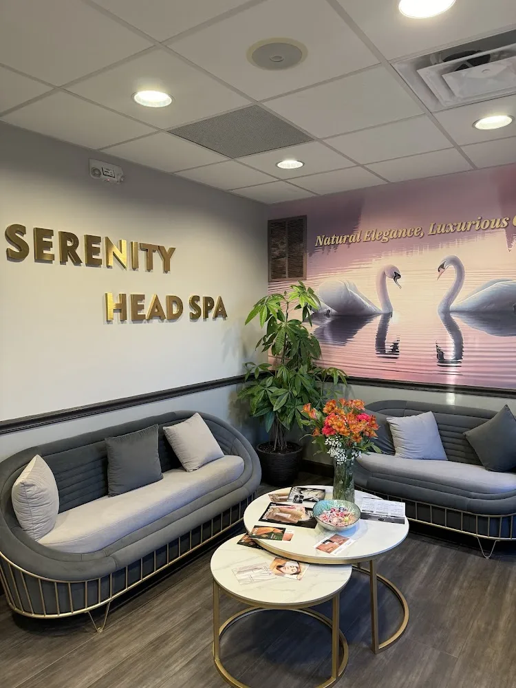 Reception Area Of Serenity Head Spa In Springfield, Va, Featuring Modern Furnishings, A Serene Wall Mural, And Cozy Seating, Creating A Luxurious Spa Experience In Springfield.